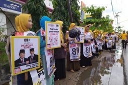 PKS Banjarmasin kampanye berjejer di pinggir jalan