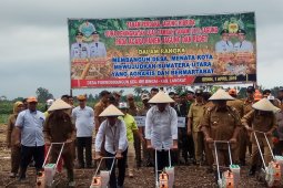 Gubernur: Sumut kekurangan daging sapi