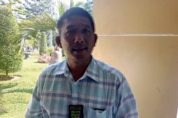 BBKSDA Sumut rawat harimau akar yang ditemukan di Langkat