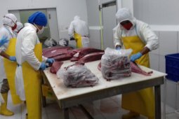 USAID SEA kembangkan kawasan konservasi perairan di Morotai