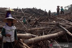 Nilai tukar petani Kaltim membaik naik 0,03 Persen