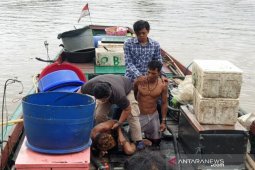 Satpolairud tangkap "DPO" kasus pencurian sarang walet