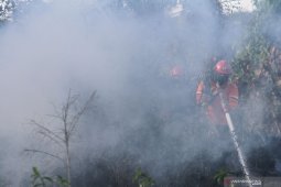 Waspadai penurunan tinggi muka air gambut  cegah karhutla