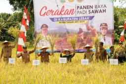 Bupati Iti Octavia minta petani tingkatkan produksi beras