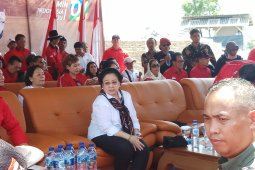 Megawati hadiri panen raya padi MSP sambil kampanye di Indramayu