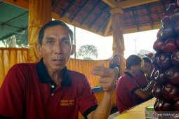 Wisatawan empat negara ritual sembahyang Cheng Beng di Pangkalpinang