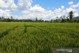 Pemprov Sumut tingkatkan perbaikan irigasi  pada 2020
