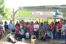 Dinas Tanaman Pangan dan Hortikultura Sumut lakukan Gerdal OPT di Tapsel