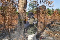 Satgas habiskan 19 juta liter air tanggulangi karhutla.