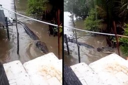Buang bangkai ke sungai sama halnya "mengundang" buaya
