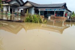 Puluhan  rumah  di Mesuji terendam banjir