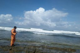 Wisatawan terseret ombak di Pantai Karang Papak Garut
