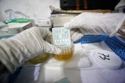Pegawai BKPP Kota Bandung jalani tes urine