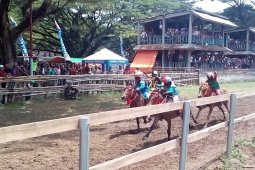 Joki-joki cilik adu kebolehan di Festival Pesona Tambora