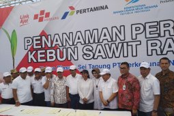 Menteri BUMN resmikan program peremajaan sawit 32.996 hektare.
