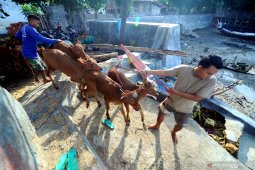 Program Upsus SIWAB Jawa Timur