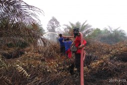 BPBA: baru 60 persen kebakaran lahan sawit  yang padam di Aceh Selatan
