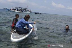BKIPM Jambi lepasliarkan 96.005 benih lobster hasil sitaan