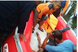 Warga Langkat yang terjun ke sungai ditemukan meninggal dunia
