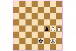 Pemerintah Afghanistan melarang main catur