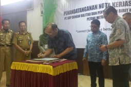 Ribuan Benih Buah dari Balitbu Akan Disebarluaskan ke Tiga Kabupaten
