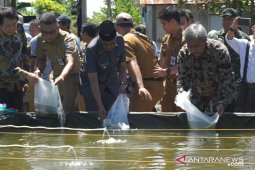 Bupati resmikan kawasan penerapan cara budidaya ikan yang baik