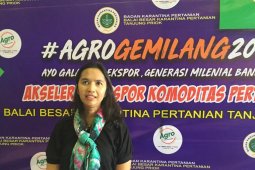 Larva lalat dari Indonesia  laku diekspor ke Belanda