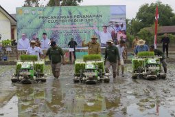 Aceh surplus gabah 1,3 juta ton