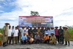 TNI AL dan petani di Sorong panen jagung