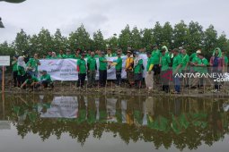 Menjaga Lingkungan Dengan 3.000 Pohon Mangrove