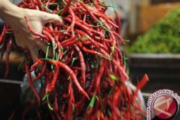 Ministry guarantees chili, onion supply will suffice for Ramadhan