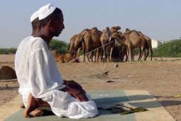 Kemenkes imbau jamaah haji hindari "Selfie" dengan Unta