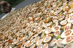 Harga pinang tingkat petani