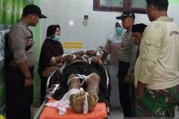 Tertimpa pohon seorang warga Aceh Jaya meninggal dunia