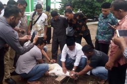 MPU Aceh latih puluhan penyembelih hewan