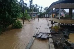 Aktivis minta Pemerintah Aceh serius pulihkan kerusakan hutan