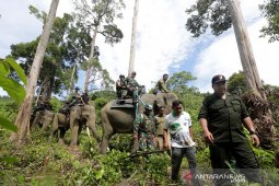 Operasi Gaktib Hutan dan Satwa
