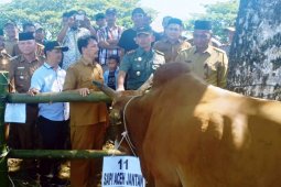 Tingkatkan produksi daging, Nagan Raya gelar expo ternak