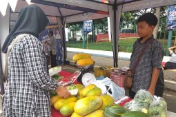 Festival "Seba Baduy" hadirkan pepaya california