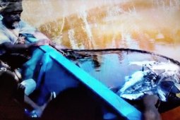 Ikan sungai Maralol mati diduga pencemaran limbah Pertamina JOB