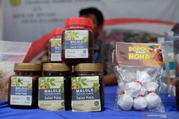 BPS : realisasi eskpor Maluku Juli 2019 turun