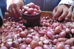 Harga bawang di Tanah Bumbu jelang Ramadhan naik