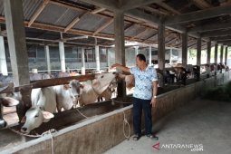Peternakan diharapkan menjadi bisnis inti Kalsel