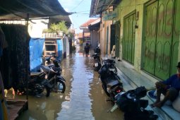 Air laut pasang memperparah banjir di Cirebon