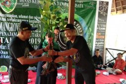 Festival Mangrove Penajam ditandai penanaman bibit bakau