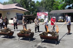Polres Langkat bakar 56.928 gram ganja