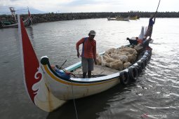 Permintaan hewan ternak meningkat