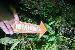 Pria gangguan jiwa di Aceh Utara bacok saudara kandung hingga  tewas