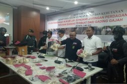 KLHK ungkap  perdagangan online gading gajah