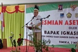 Menteri ESDM berharap Freeport perbesar kucuran dana kemitraan